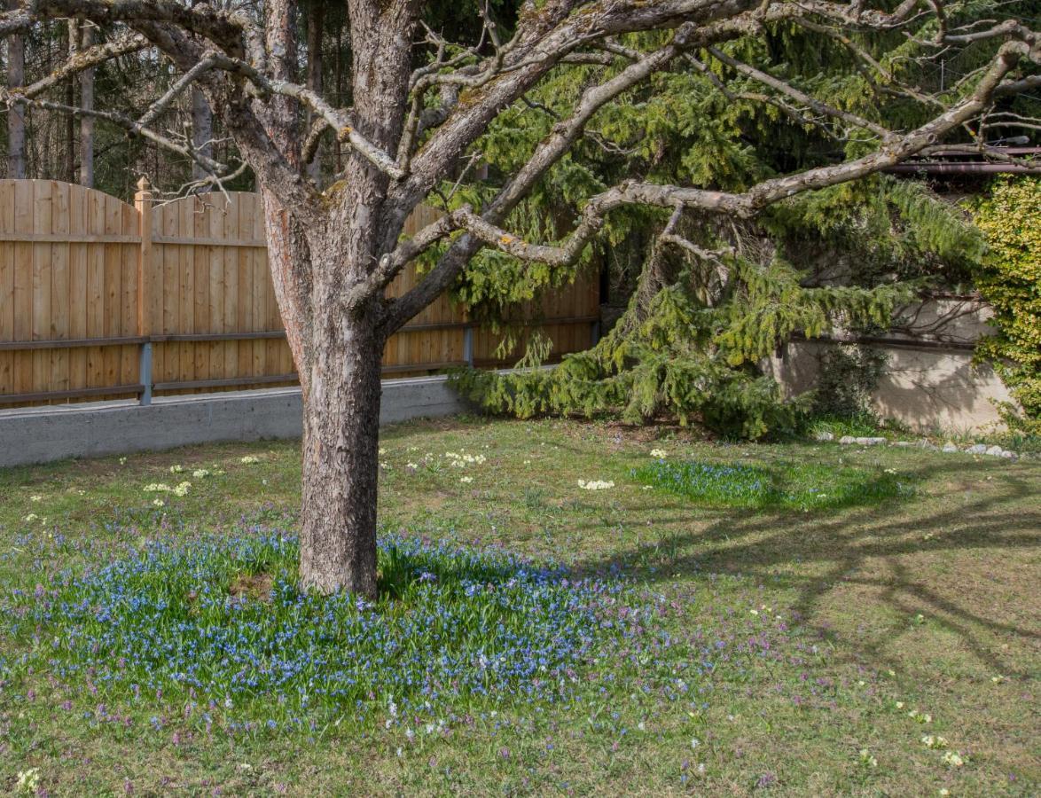 Garten Appartement Harmony Finkenstein am Faaker See المظهر الخارجي الصورة
