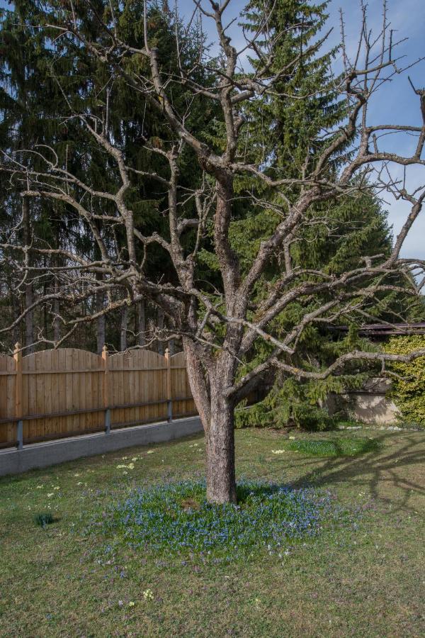 Garten Appartement Harmony Finkenstein am Faaker See المظهر الخارجي الصورة