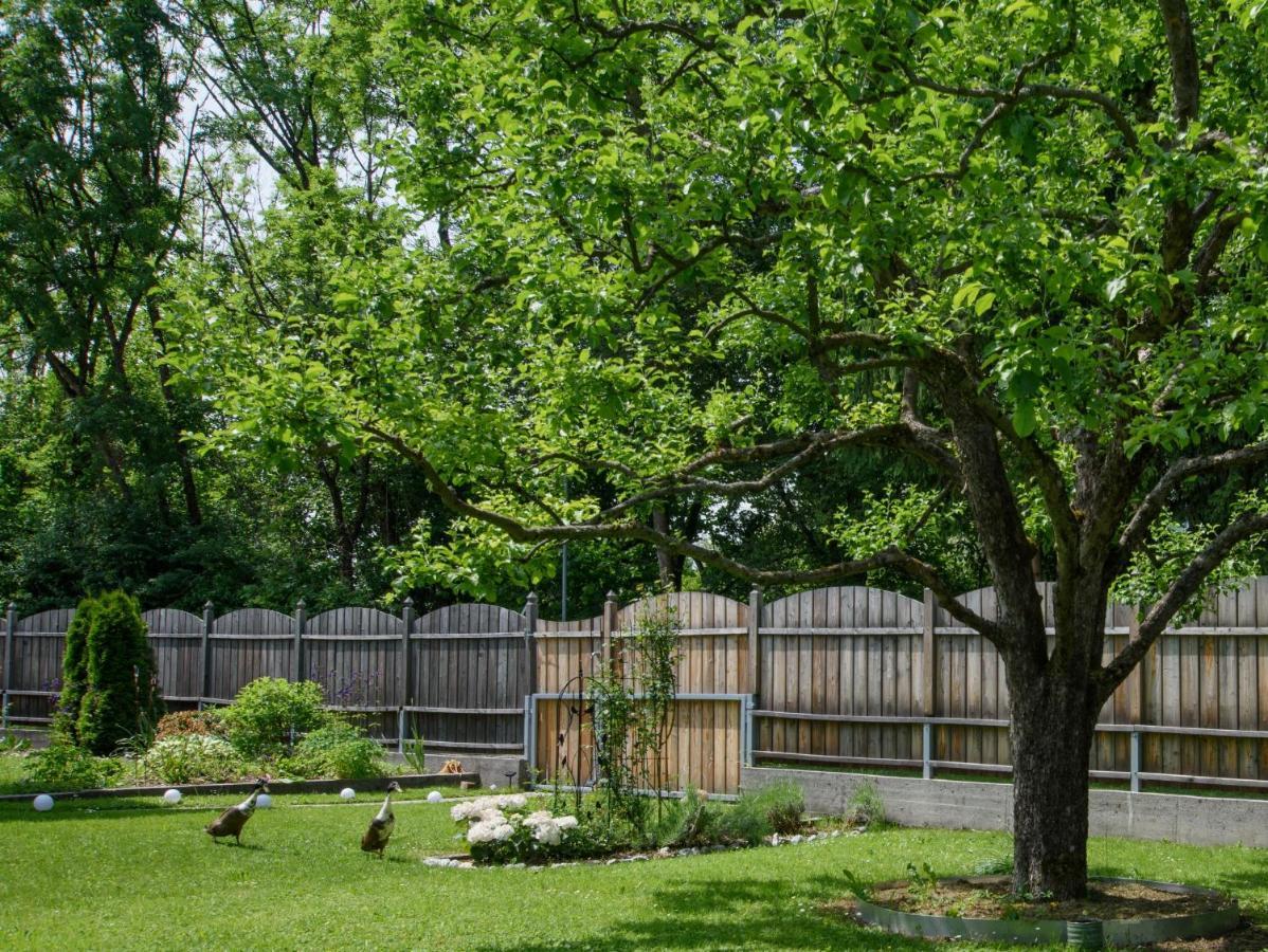 Garten Appartement Harmony Finkenstein am Faaker See المظهر الخارجي الصورة
