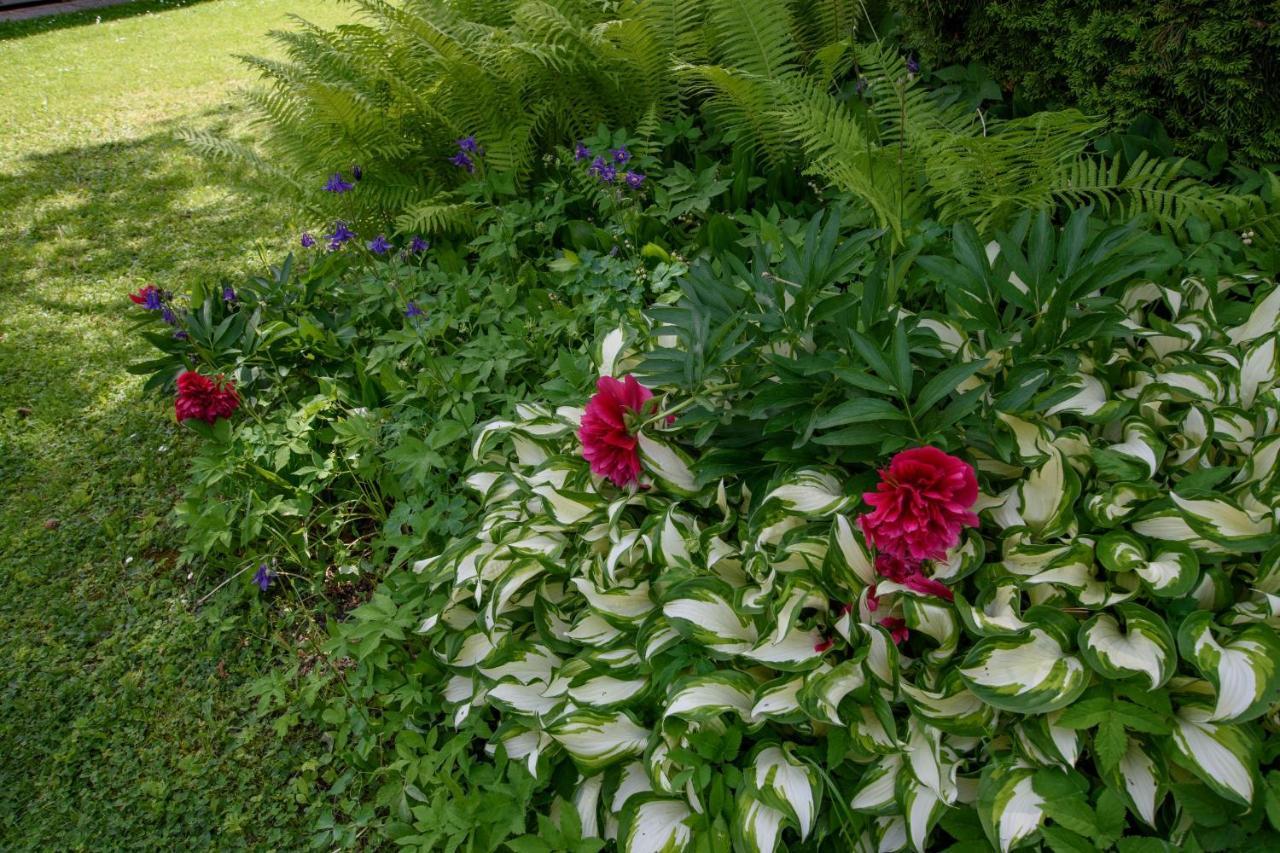 Garten Appartement Harmony Finkenstein am Faaker See المظهر الخارجي الصورة
